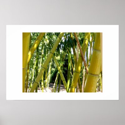 Bamboo Garden Print by ltwaldon