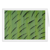 Bamboo Greens cards by mkelzer Bamboo Greens cards