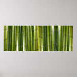 Bamboo Grove Poster posters