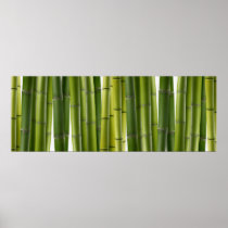 Bamboo Grove Poster