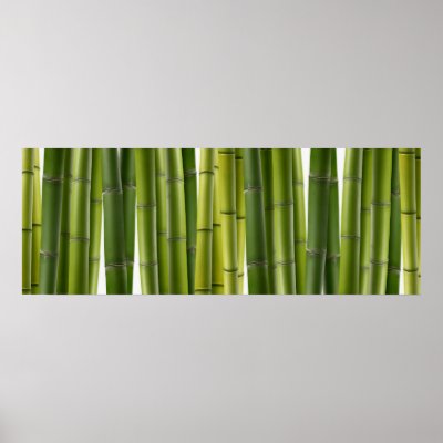 Bamboo Grove Poster by AlanCrosthwaite