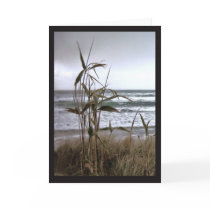Bamboo in the Dunes cards