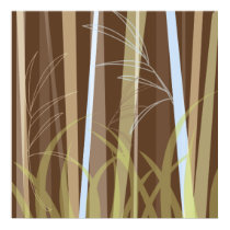 Bamboo on Terra Firma posters