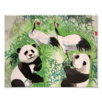 bamboo orchestra photo