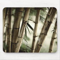 Bamboo pad mouse pad