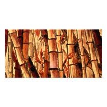 bamboo painting Asian Oriental art Picture Card