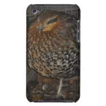 Bamboo Pheasant Barely There iPod Cases