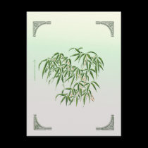 Bamboo Postcard postcards