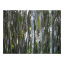 Bamboo posters by Kiyoshi Bamboo posters