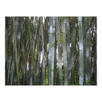 Bamboo posters by Kiyoshi Bamboo posters