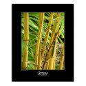 Bamboo posters