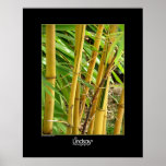 Bamboo posters