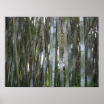 Bamboo posters