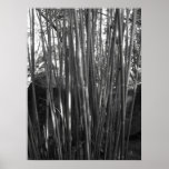 Bamboo Print