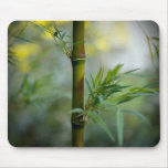 Bamboo Stalk Mouse Pad mousepads