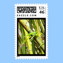 BAMBOO STAMP stamps