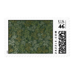 Bamboo Stamp