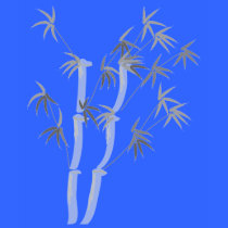 Bamboo T-shirt