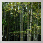 Bamboo Thicket. Print