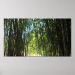 Bamboo thicket posters