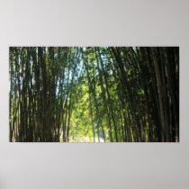 Bamboo thicket posters
