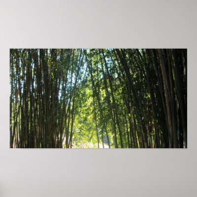Bamboo thicket print by Walfas