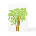 Bamboo Trees blank note card by marcya7 Bamboo Trees blank note card
