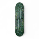 Bamboo trees, Kumamoto, Japan Custom Skate Board