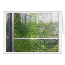 BAMBOOS card