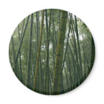 Bamboos Refrigerator Magnets