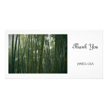Bamboos Personalized Photo Card