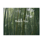 Bamboos Postcards