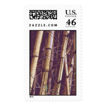 bambou postage