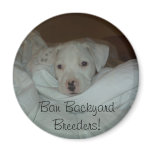 Ban Backyard Breeders! magnets