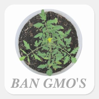 Ban GMO's Heirloom Tomato Plant Peace Sign Sticker
