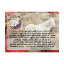 Ban Horse Slaughter and Save Wild Horses/ Burros Post Card
