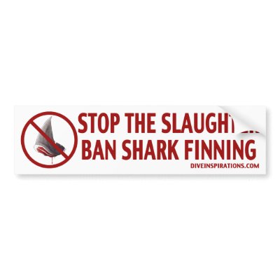 Ban Shark Finning Bumper Sticker