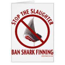 Ban Shark Finning Card