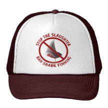 Ban Shark Finning Hat