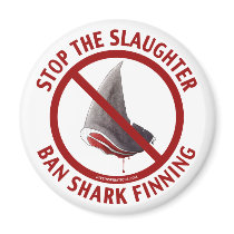 Ban Shark Finning Magnet