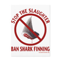 Ban Shark Finning Postcard