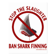 Ban Shark Finning Postcard