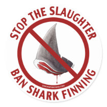 Ban Shark Finning Sticker