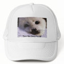 "Ban the Seal Hunt!" Cap hats by RavenSpiritPrints "Ban the Seal Hunt!" Cap hats