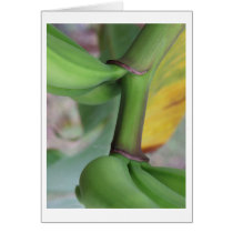 banana beauty cards