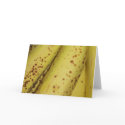 Banana Card by emele1 Banana Card