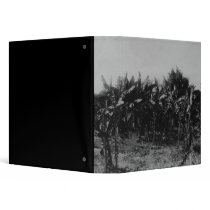 Banana Cultivation, Trinidad, c.1891 Binder