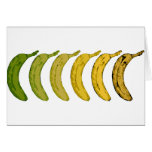 Banana Evolution Cards