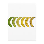 Banana Evolution Postcards