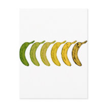 Banana Evolution Postcards
